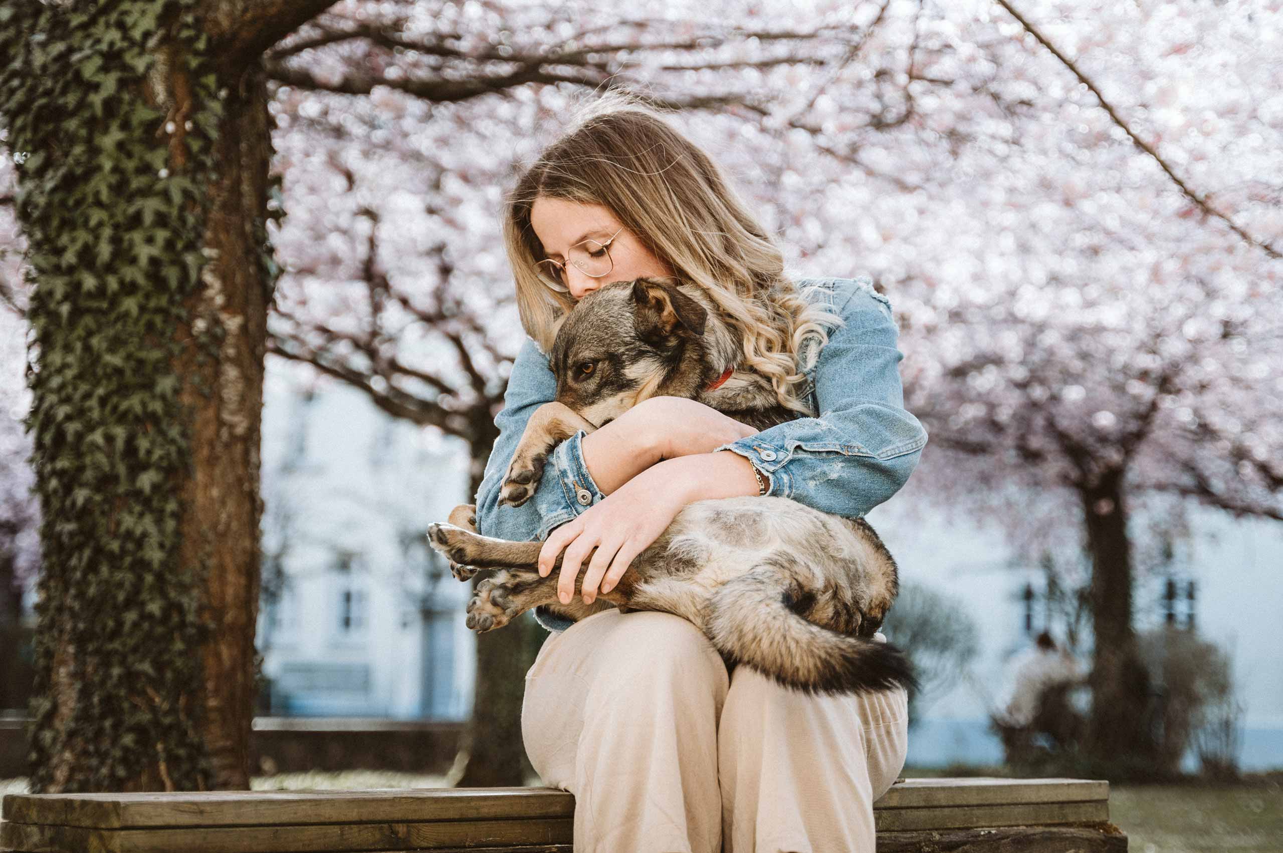 Sonja & Hund Friedl | Hundefotografie | Niklas Wiest | Fotograf Weingarten